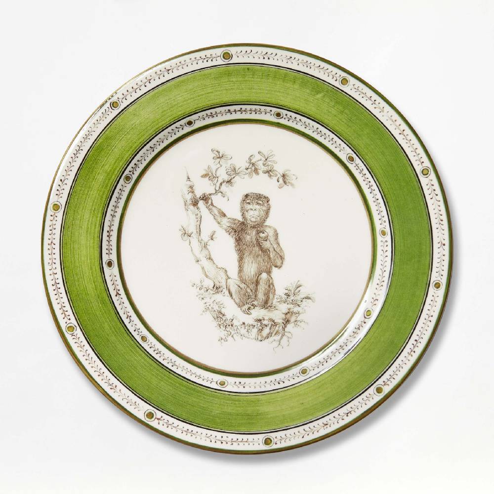 Laboratorio Paravicini Monkey Green 07 Sottocosto