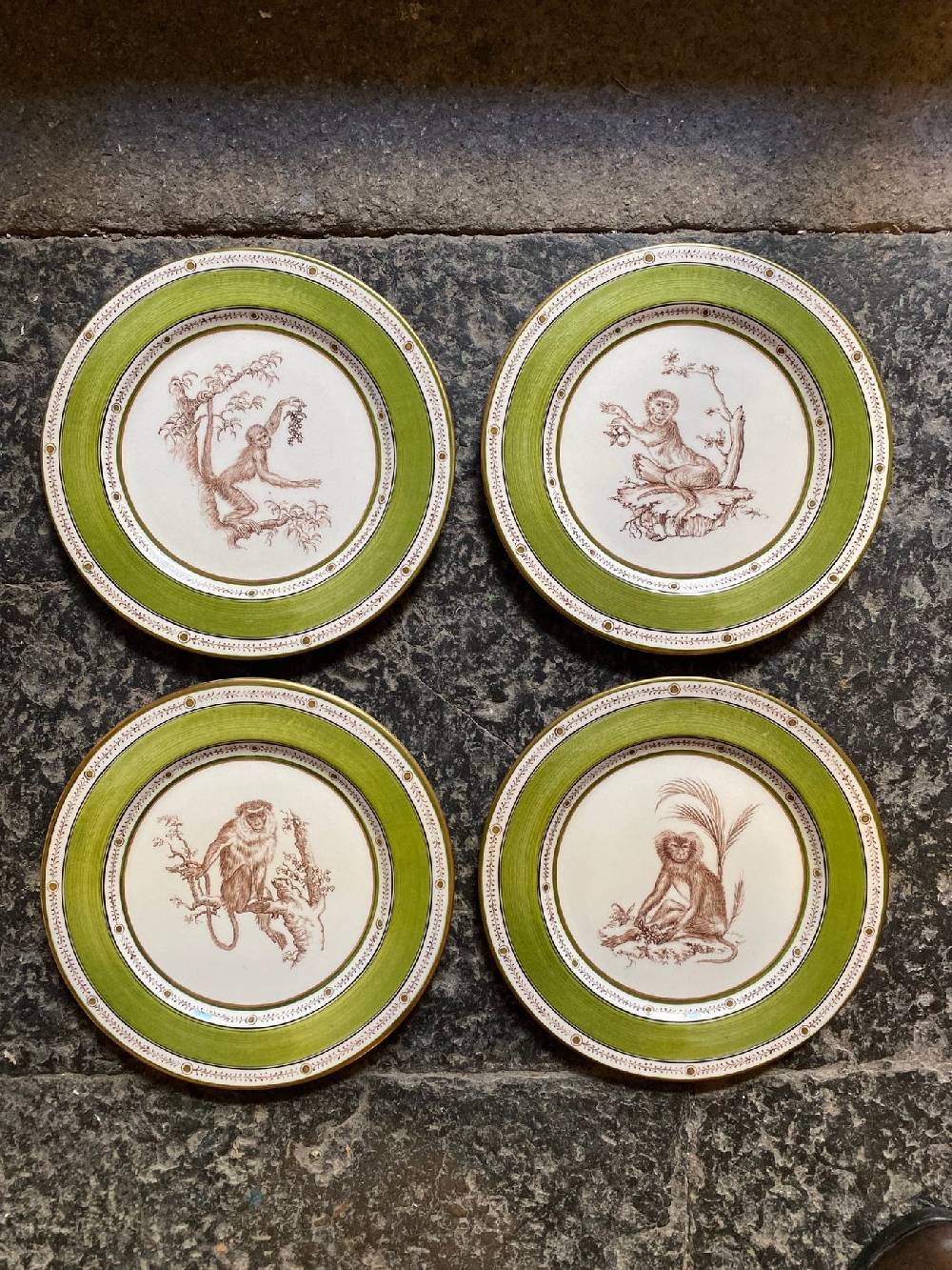 Laboratorio Paravicini Monkey Green 12 Online