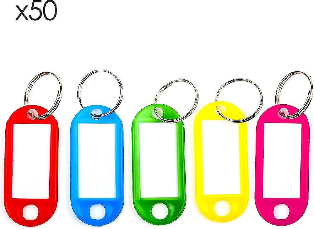Carte di plastica da 50 pezzi colori casuali con etichette di carta e portachiavi ad anello diviso